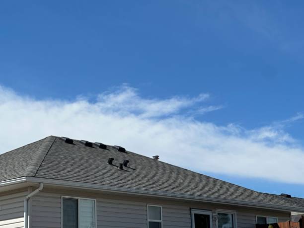 Best Roofing for New Construction  in Old Orchard, PA